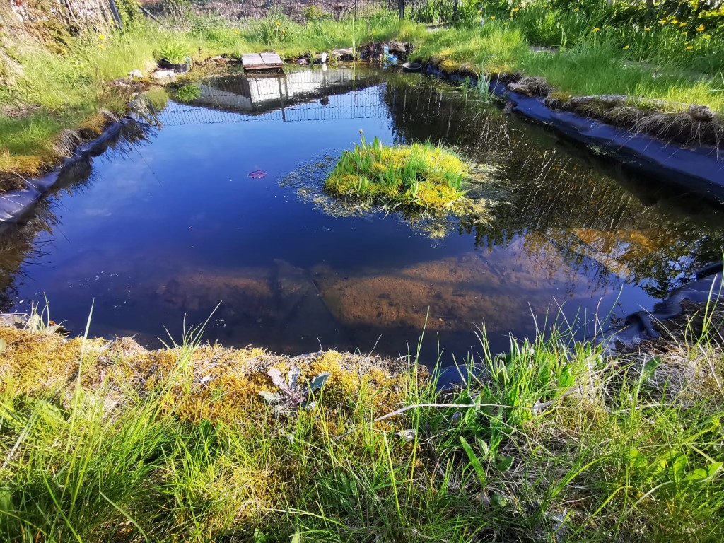 Teich mit Insel